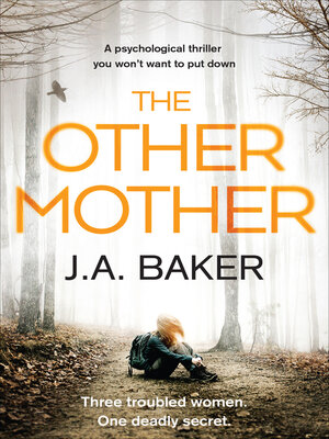 cover image of The Other Mother